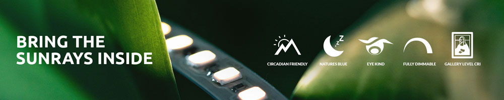AWE Appointed Exclusive UK Residential Channel Distributor for RAY Lighting